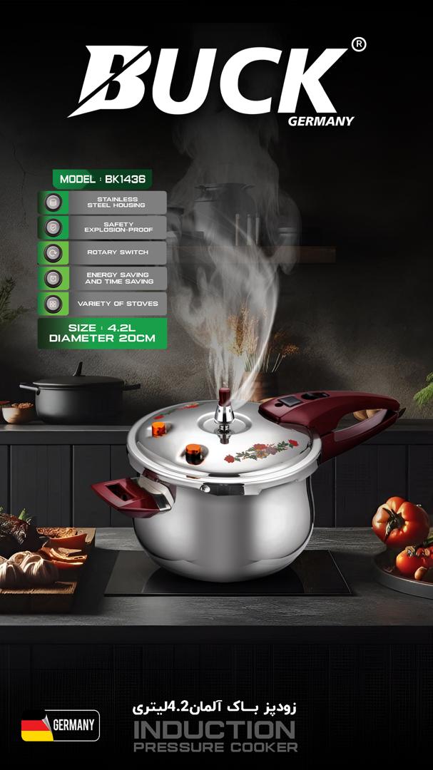 IMG-20251012-WA0022 زودپز4.2لیتری باک مدل1436 - تصویر 1