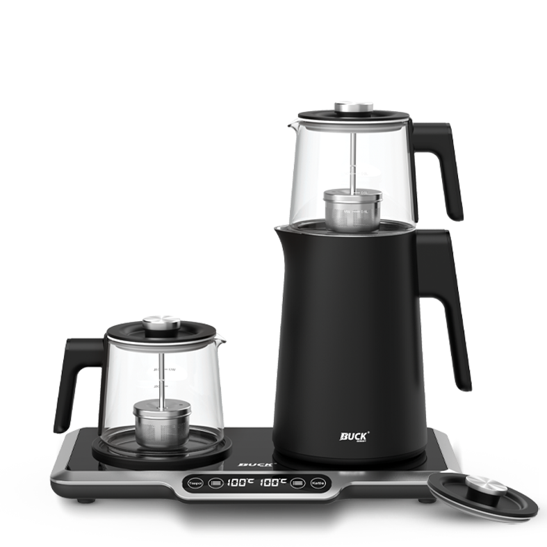 IMG_20241109_152005_673 چایساز دیجیتال باک مدل BK1208 - تصویر 1